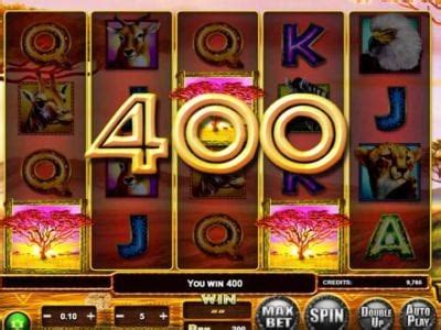 beer slots|stampede slot machine free games.